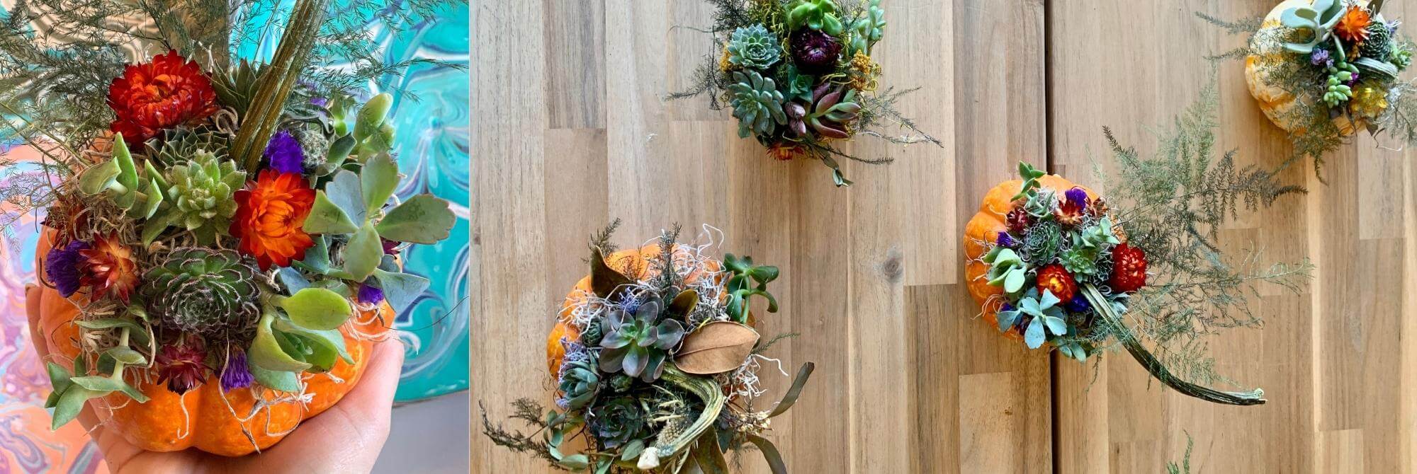 Succulent Pumpkin Workshop - Oct. 17