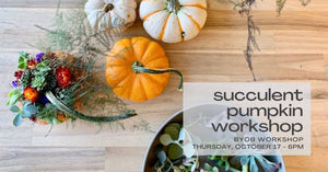 Succulent Pumpkin Workshop - Oct. 17